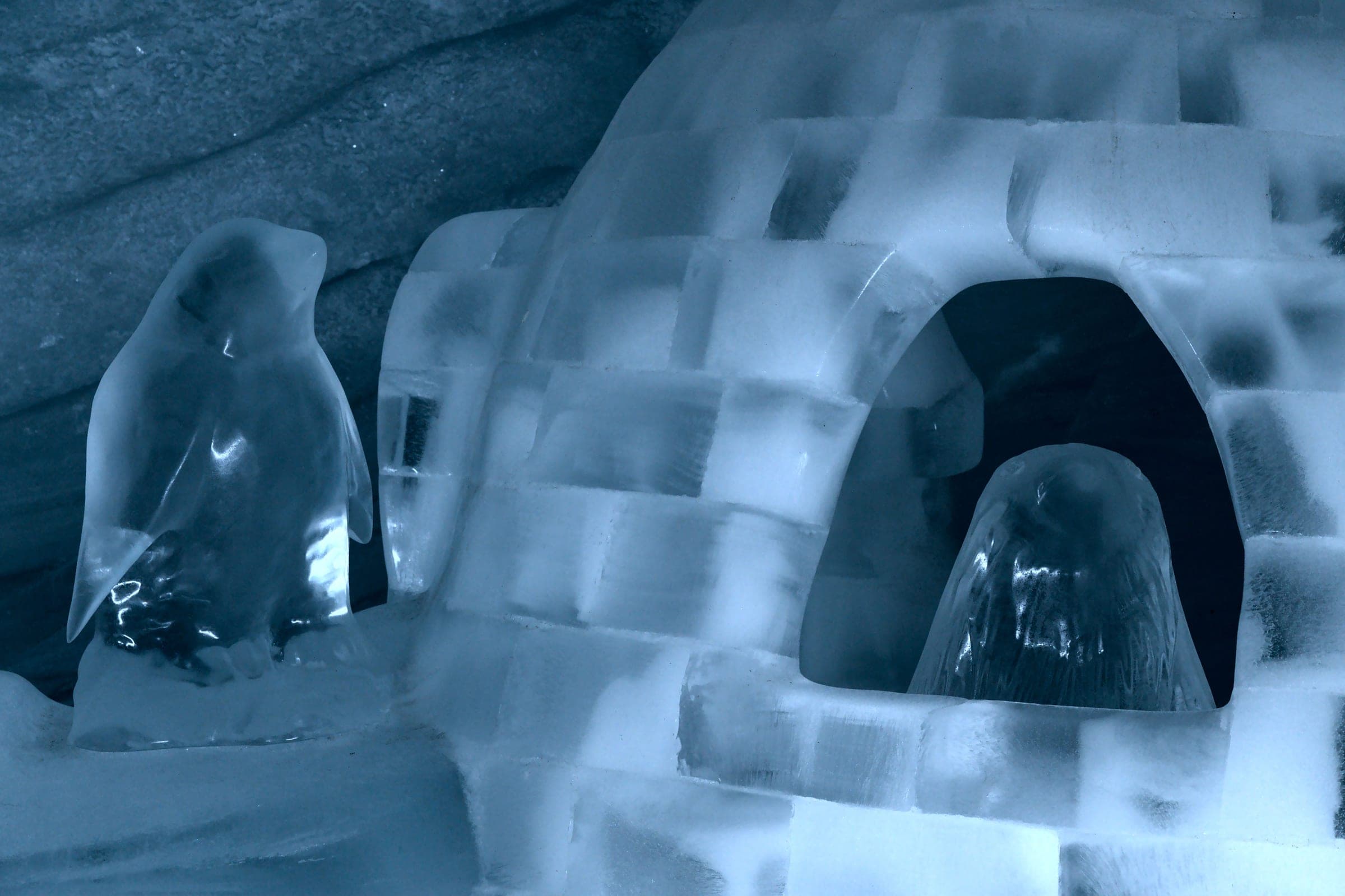 Ice sculptures of penguins and an igloo in the Ice Palace