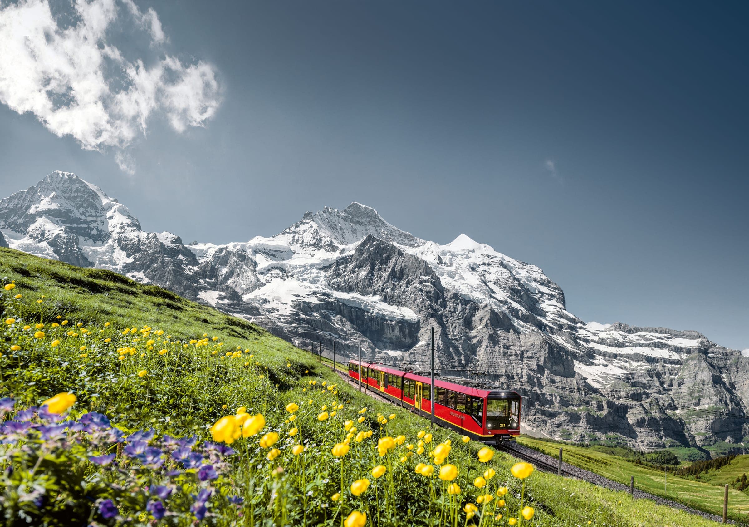 Red Jungfrau Railway train passing alpine meadows below snow-covered peaks